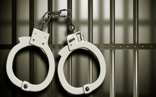 রাজধানীতে বিশেষ অভিযানে ১৩ জন গ্রেপ্তার 