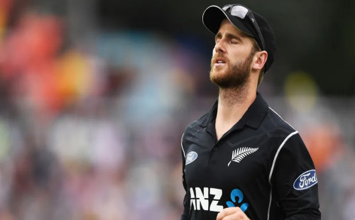 টি-টোয়েন্টি বিশ্বকাপের ৩ মাস আগে অবসরে উইলিয়ামসন 