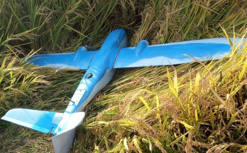 দ. কোরিয়ার আইনি পদক্ষেপের অঙ্গীকার 