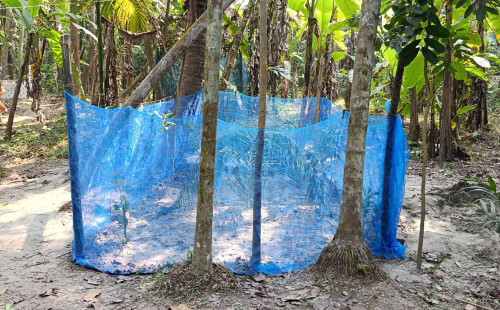 শেষ বিছানায়ও পাশাপাশি চিরনিদ্রায় মা-ছেলে 