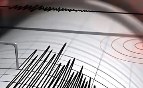 ভোরে ভূমিকম্পে কেঁপে উঠল দেশ 