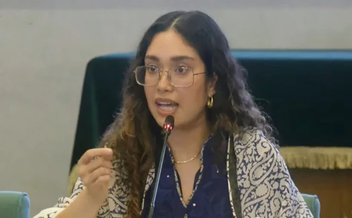 আমরা অন্যরকম একটা দেশ গড়তে চাই: জাইমা 