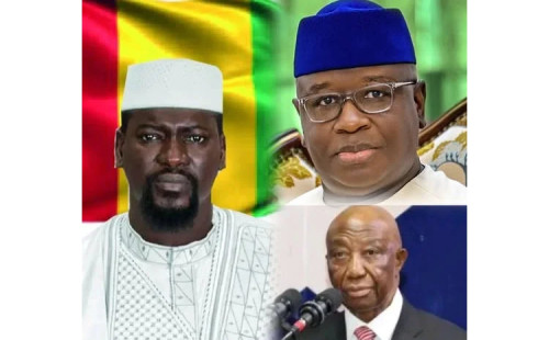 আফ্রিকার ৩ দেশের সীমান্ত বৈঠক 